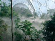 Eden Project photo taken by Grimshaw