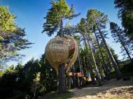Yellow Treehouse Restaurant during the day
