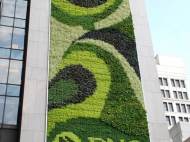 PNC green wall is big as two tennis quarts 