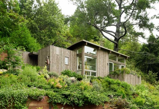 mill-valley-cabins-2