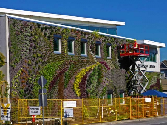 project-semiahmoo-library-outdoor-green-wall-2