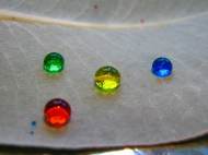 eucaliptus-color-drops