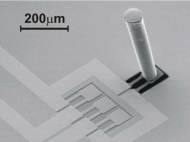 An artificial neuromast used in fish lateral line biomimicry