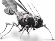 robot-insect-iunewind