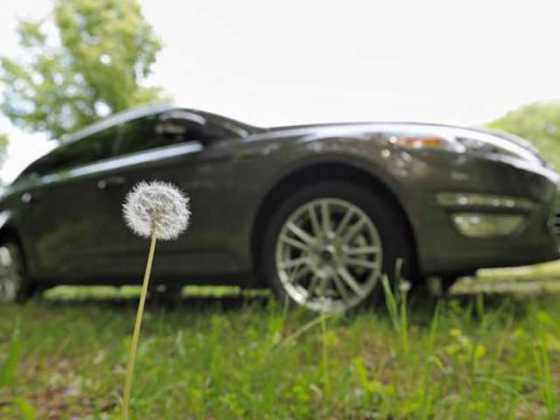 ford-dandelion-rubber ford-dandelion-rubber
