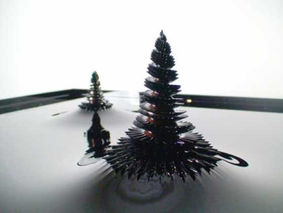 morpho-towers-two-standing-spirals morpho-towers-two-standing-spirals
