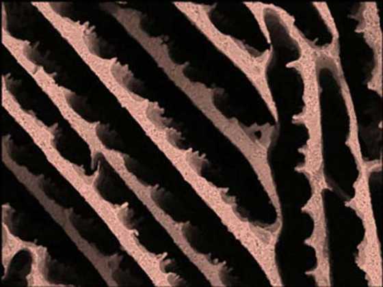 without-zirconium-acetate without-zirconium-acetate