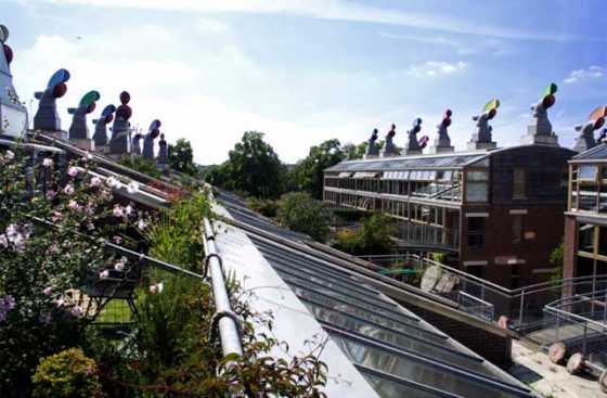 bedzed-4 bedzed-4