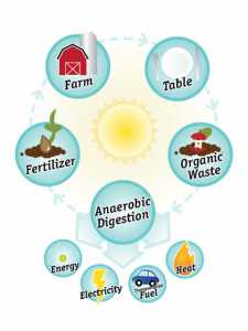 cnw-anaerobic-digestion cnw-anaerobic-digestion