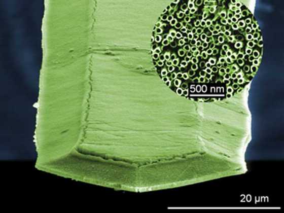cnrs-silkmoth-biomimicry-2 cnrs-silkmoth-biomimicry-2