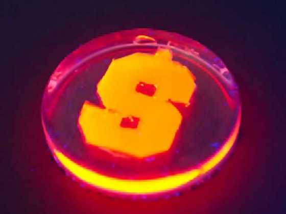 maye-firefly-nano-2 maye-firefly-nano-2