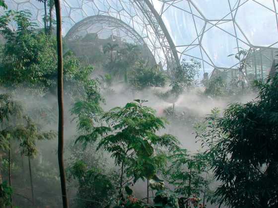 eden_project1 eden_project1
