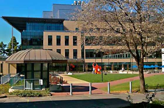 li-ka-shing-center-for-biomedical-and-health-sciences-2 li-ka-shing-center-for-biomedical-and-health-sciences-2