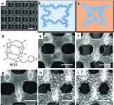 yang-advanced-functional-materials-microfabrication yang-advanced-functional-materials-microfabrication