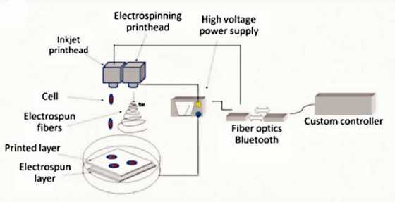 cartilage-printer-2 cartilage-printer-2