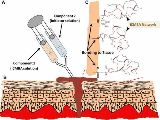 penn-yang-lab-bioadhesives penn-yang-lab-bioadhesives