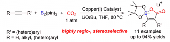 riken-co2-into-catalyst-2 riken-co2-into-catalyst-2