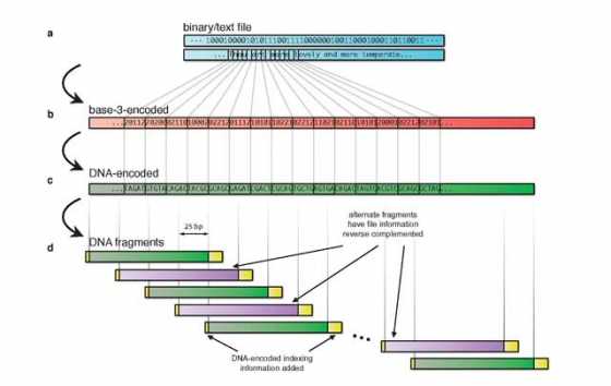 data-into-dna-2 data-into-dna-2
