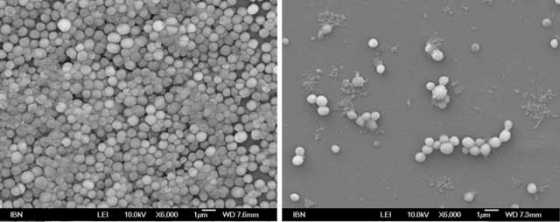 mrsa-biofilm-disrupted-by-hydrogel