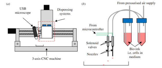 3d-printing-with-embryonic-stem-cells-2 3d-printing-with-embryonic-stem-cells-2