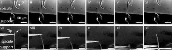 flexible-minerals-2 flexible-minerals-2