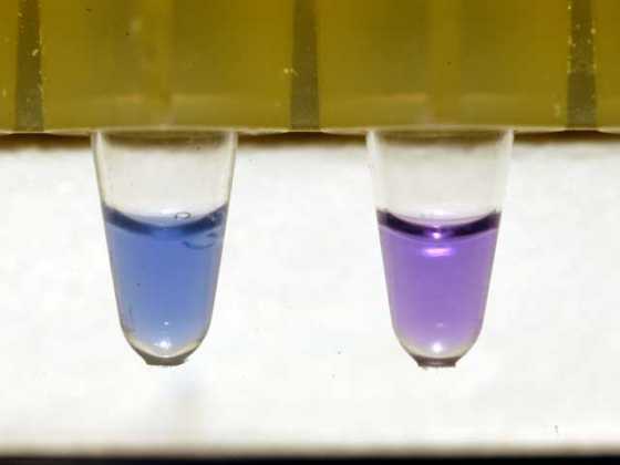 blue-lamp blue-lamp
