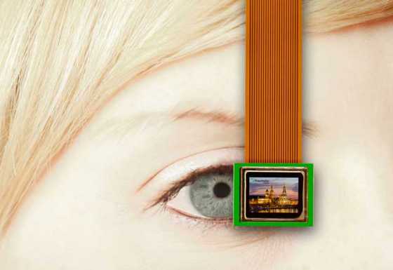 oled-2 oled-2