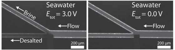 austin-desalination-chip-2 austin-desalination-chip-2