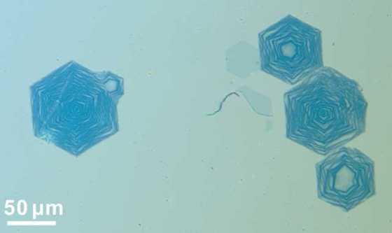 onion-carbon-nanoribbons-2 onion-carbon-nanoribbons-2