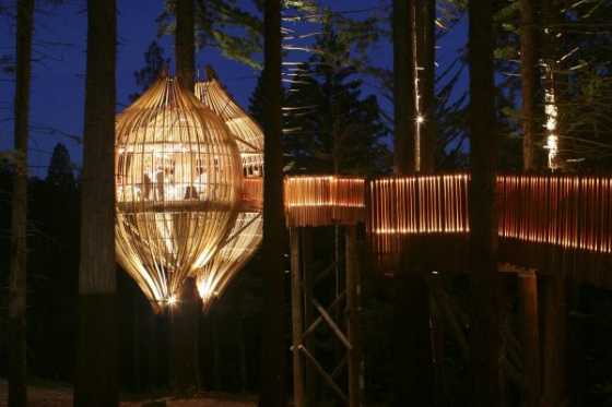 yellow-treehouse-restaurant-03 yellow-treehouse-restaurant-03