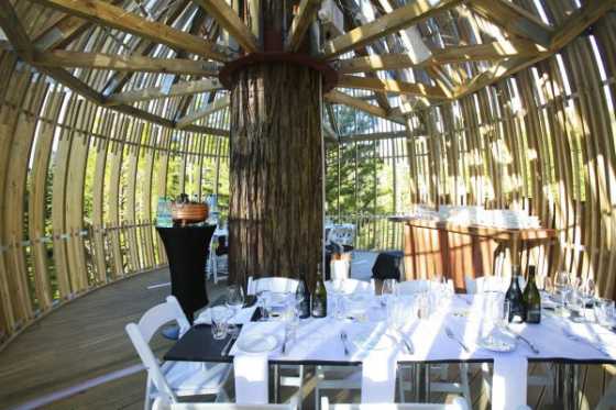 yellow-treehouse-restaurant-1 yellow-treehouse-restaurant-1