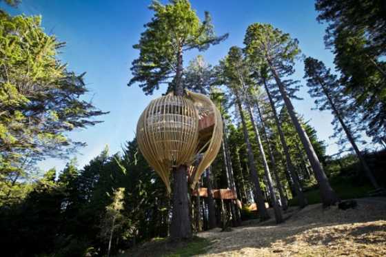 yellow-treehouse-restaurant-2 yellow-treehouse-restaurant-2