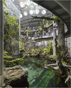 california-academy-of-sciences california-academy-of-sciences