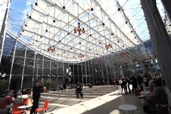 califonia-academy-of-sciences-courtyard califonia-academy-of-sciences-courtyard