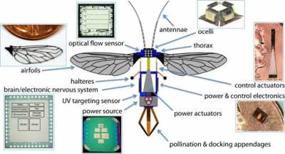 robobee