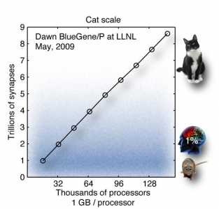 ibm-research-cognitive-computing-cat-scale