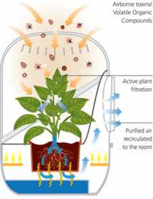 andrea-plant-air-purifier3