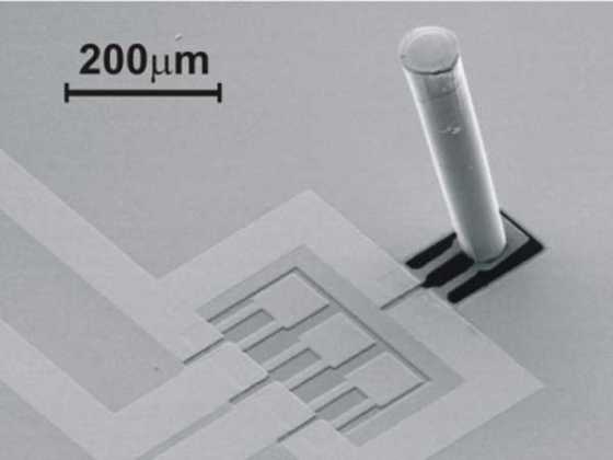 lateral-lines-biomicmicry lateral-lines-biomicmicry