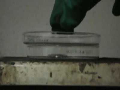 magnetic-solder-material