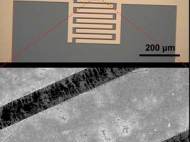 nanotube-closeup.jpg