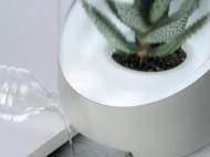 ANDREA plant air purifier water compartment