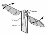 Wings affixed to the PARITy drivetrain in a representative micro air vehicle (MAV). Vertical aerodynamic forces constitute lift while drag forces are perpendicular to the wing.