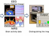 Honda's "Brain Machine Interface" simplified algorithm