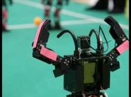 Robocup 2009 football match