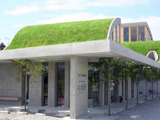 kawada-midori-chan-green-roof2