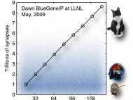 Blue Gene/P DAWN at LLNL with 147,456 CPUs and 144 TB memory= Cat-scale with 1 billion neurons, 10 trillion synapses
100-1000 times slower than real-time at 0.1ms simulation resolution