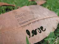 Tátil Design used laser etching to cut logos, messages and images into delicate fallen leaves