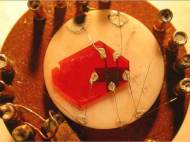 rubrene-organic-single-crystal-transistor