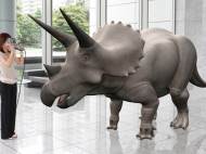 A virtual Triceratops baby shown as an example how the Canon exhibition will be like