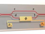 Cartoon schematic of the chip used by the team